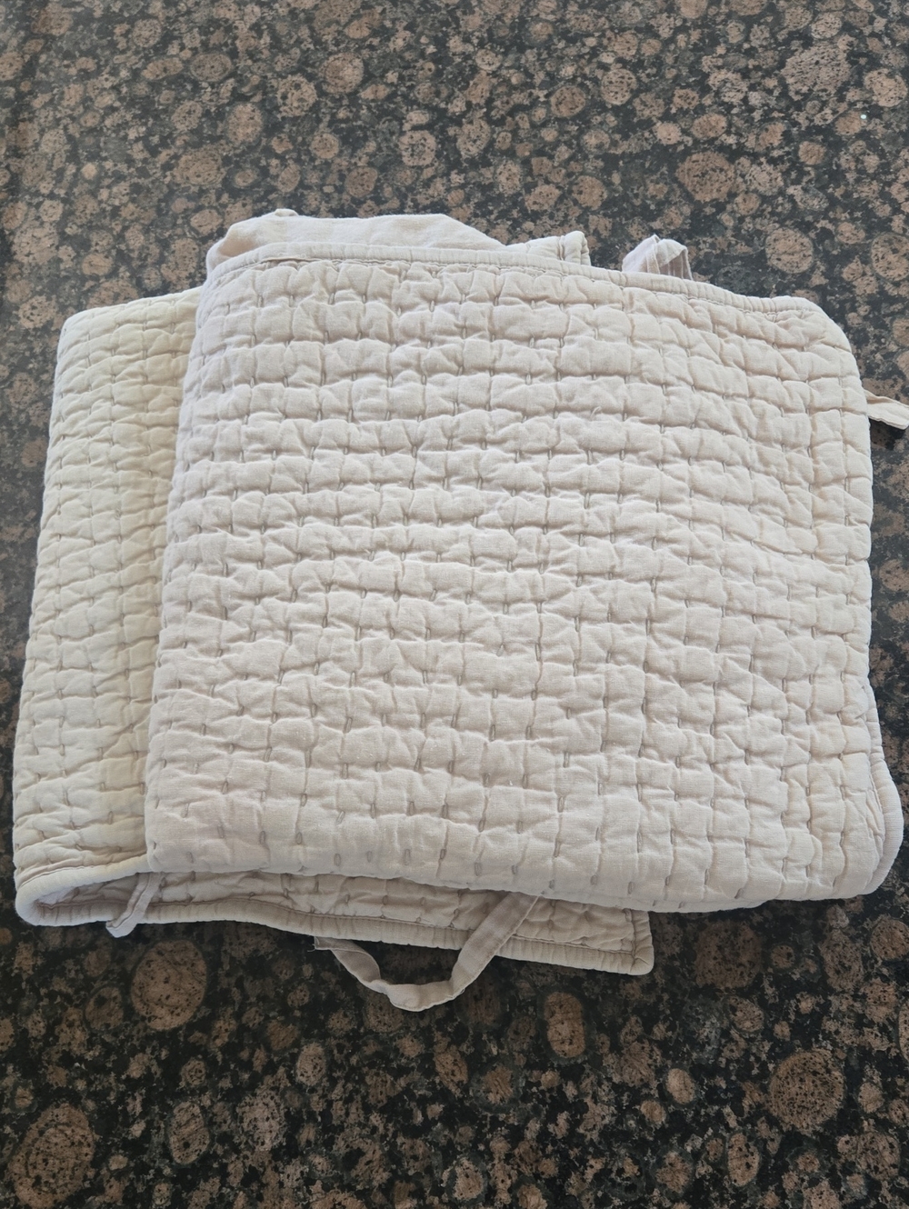2 Pottery Barn Quilted Pin Tuck Euro Sham